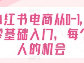 小红书掘金项目安全性解析，操作风险与收益的平衡点