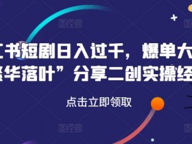 如何用小红书掘金虚拟项目赚钱，暴力引流思路的全流程