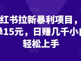 如何用小红书做掘金项目，从引流到变现的实操全流程
