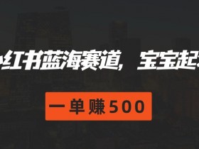 如何用小红书做掘金项目，从引流到变现的实操全流程
