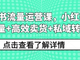 如何用小红书做掘金项目，从引流到变现的实操全流程