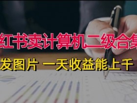 如何用小红书做掘金项目，从引流到变现的实操全流程
