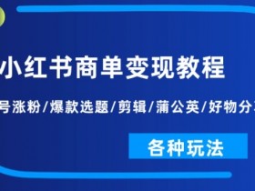 如何通过小红书掘金训练营赚钱，暴力引流与变现的攻略