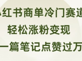 如何通过小红书掘金训练营赚钱，暴力引流与变现的攻略