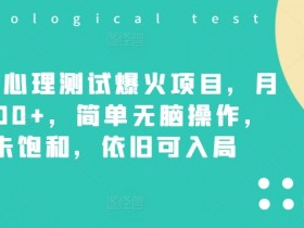 小红书掘金虚拟项目月入过万，引流与变现的关键步骤解析