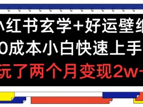 小红书掘金项目能否月入10万，真实案例与收益模式揭秘