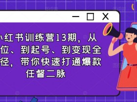 蓝海掘金赛道的核心玩法，小红书虚拟项目高效操作详解