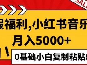 小红书掘金项目是否合法，冷门赛道的操作风险分析