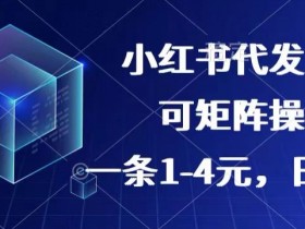 小红书短剧赚钱是真的吗，实操案例揭秘真实收益模式