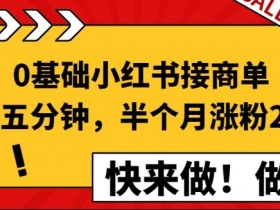 小红书短剧赚钱是真的吗，实操案例揭秘真实收益模式