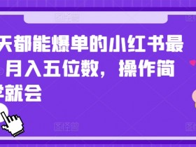 小红书短剧赚钱是真的吗，实操案例揭秘真实收益模式