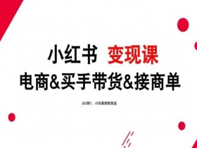 小红书短剧蓝海掘金玩法，日入2000+的高收益模式分享