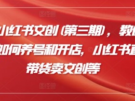 小红书短剧蓝海掘金玩法，日入2000+的高收益模式分享