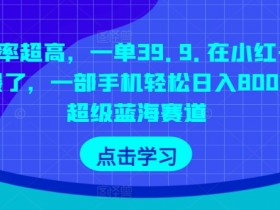 小红书短剧玩法能赚钱吗，2025年短视频红利项目实操指南
