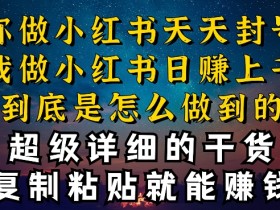 小红书短剧玩法能赚钱吗，2025年短视频红利项目实操指南