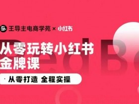 短剧推广如何变现，小红书赚钱项目的核心玩法解析