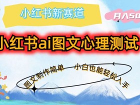 小红书短剧搬运的高效玩法，百万播放量的实现路径揭秘