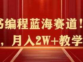 小红书短剧搬运的高效玩法，百万播放量的实现路径揭秘