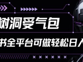 小红书短剧搬运的高效玩法，百万播放量的实现路径揭秘