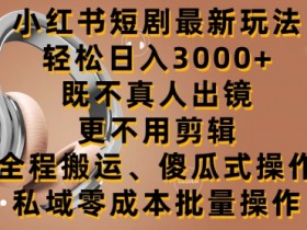 短剧推广怎么玩才能赚钱，小红书从内容到收益的玩法解析