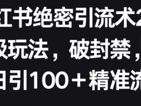 短剧推广怎么玩才能赚钱，小红书从内容到收益的玩法解析