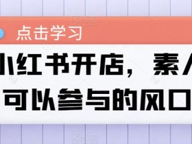 小红书短剧推广效果怎么样，真实案例分享与收益解析