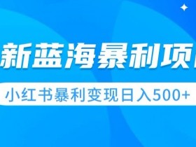 小红书短剧怎么赚钱，新手入门从零开始实现收益翻倍
