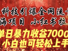 小红书运营是干什么的，详细拆解岗位内容与发展前景