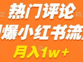 小红书运营项目经验分享，从新手到高手的成长历程
