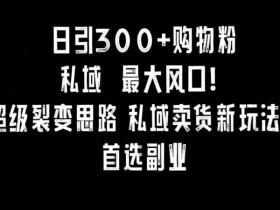 小红书运营项目经验分享，从新手到高手的成长历程