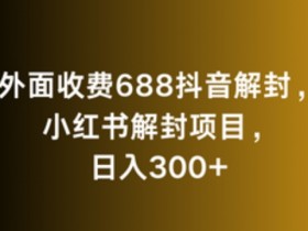 小红书运营项目经验分享，从新手到高手的成长历程
