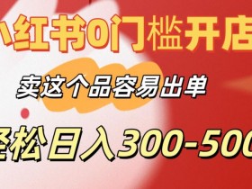小红书运营项目经验分享，从新手到高手的成长历程