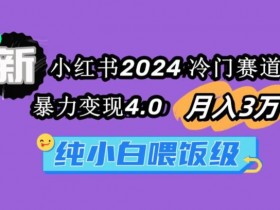 小红书运营项目经验分享，从新手到高手的成长历程
