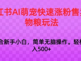 小红书运营项目经验分享，从新手到高手的成长历程