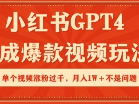 小红书运营项目经验分享，从新手到高手的成长历程