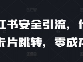 小红书运营项目经验分享，从新手到高手的成长历程