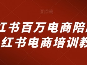 小红书运营项目经验分享，从新手到高手的成长历程