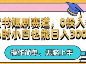 小红书运营项目经历怎么写，简历加分的必备技巧分享