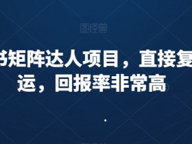 小红书代运营费用是多少，服务范围与成本解析