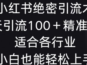 小红书代运营费用是多少，服务范围与成本解析