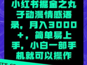 小红书代运营费用是多少，服务范围与成本解析