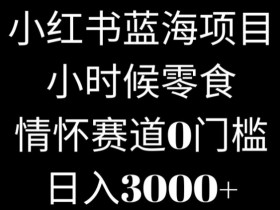 小红书代运营费用是多少，服务范围与成本解析