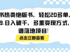 小红书运营项目模板，最新案例与高效方案分享