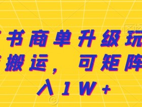 小红书运营项目模板，最新案例与高效方案分享