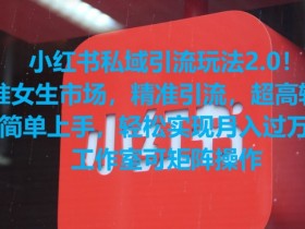 小红书运营项目模板，最新案例与高效方案分享