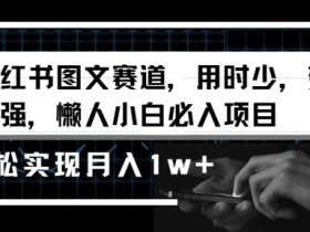 小红书运营项目模板，最新案例与高效方案分享