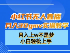 小红书运营项目模板，最新案例与高效方案分享