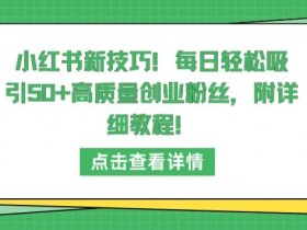 小红书运营项目模板，最新案例与高效方案分享