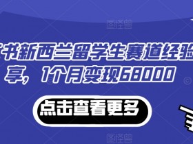 小红书运营项目模板，最新案例与高效方案分享