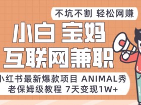 小红书引流到微信私域的7种暴力玩法，绝不违规的技巧
